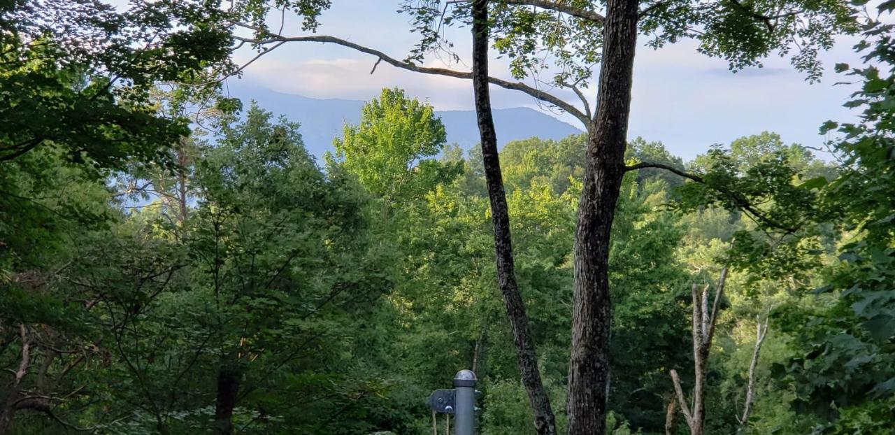 Whispering Winds, Hot Tub, Game Room, Wifi, 1089 Free Tickets Each Paid Day, Dollywood And More 蓋特林堡 外观 照片