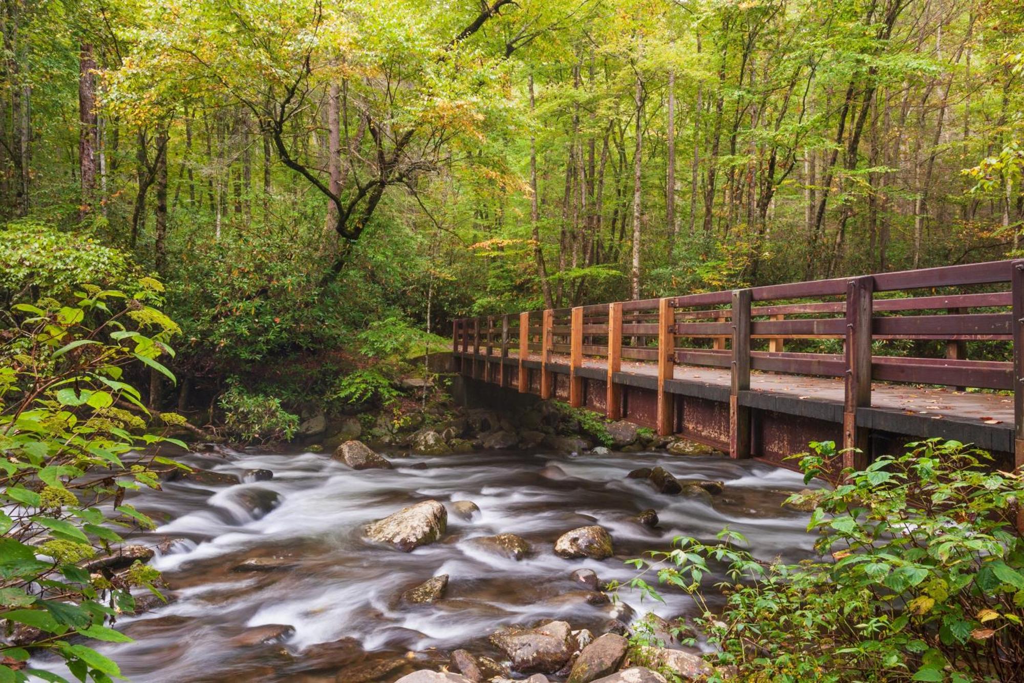 Whispering Winds, Hot Tub, Game Room, Wifi, 1089 Free Tickets Each Paid Day, Dollywood And More 蓋特林堡 外观 照片
